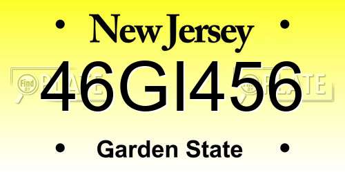 46GI456 New Jersey License Plate