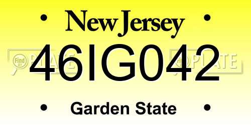 46IG042 New Jersey License Plate