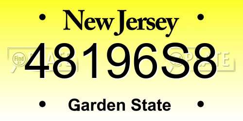 48196S8 New Jersey License Plate