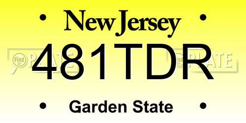 481TDR New Jersey License Plate