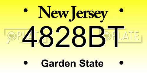 4828BT New Jersey License Plate