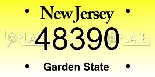 48390 New Jersey License Plate