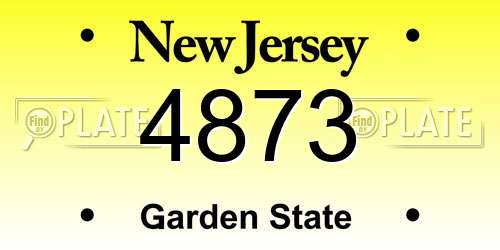 4873 New Jersey License Plate