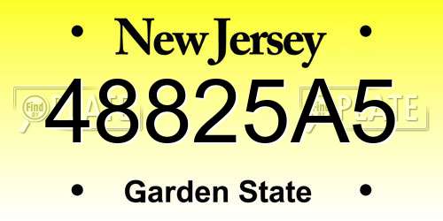 48825A5 New Jersey License Plate