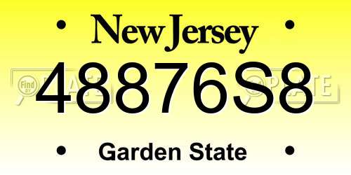 48876S8 New Jersey License Plate