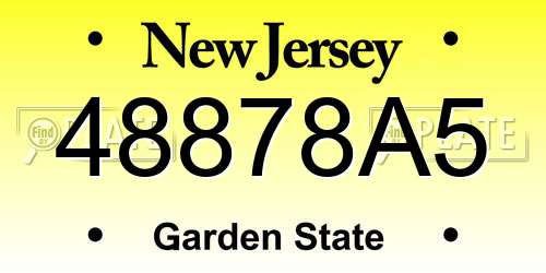 48878A5 New Jersey License Plate