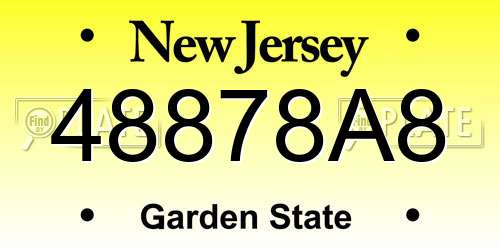 48878A8 New Jersey License Plate