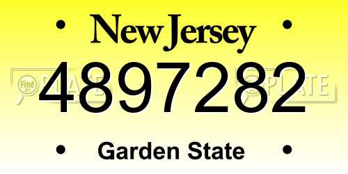4897282 New Jersey License Plate