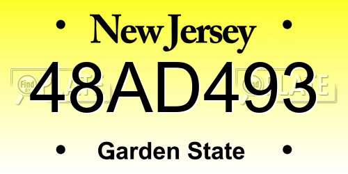 48AD493 New Jersey License Plate