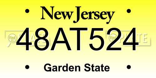 48AT524 New Jersey License Plate