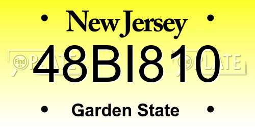 48BI810 New Jersey License Plate