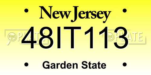 48IT113 New Jersey License Plate