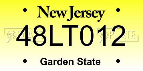 48LT012 New Jersey License Plate