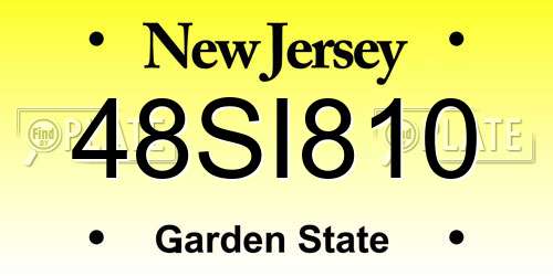 48SI810 New Jersey License Plate