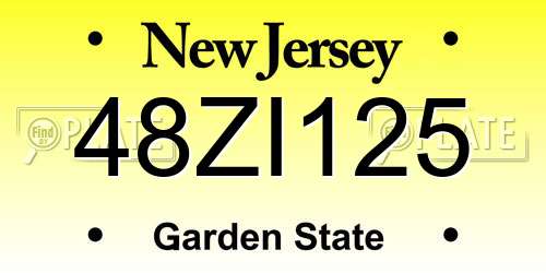 48ZI125 New Jersey License Plate