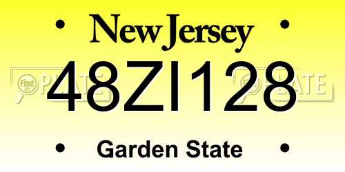 48ZI128 New Jersey License Plate