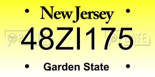48ZI175 New Jersey License Plate