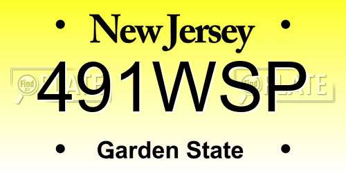 491WSP New Jersey License Plate