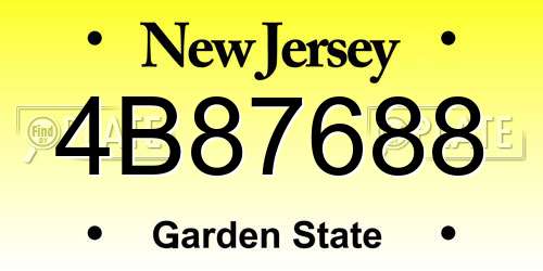 4B87688 New Jersey License Plate