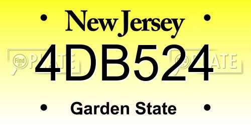 4DB524 New Jersey License Plate