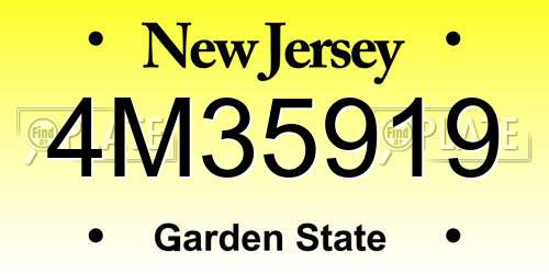 4M35919 New Jersey License Plate