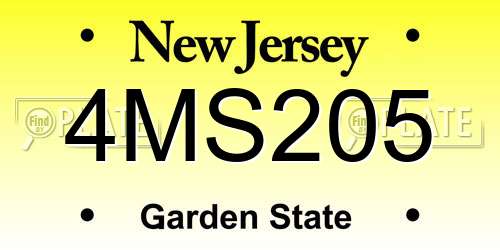 4MS205 New Jersey License Plate