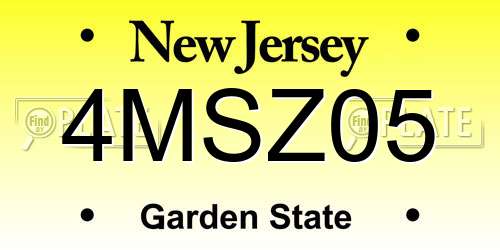 4MSZ05 New Jersey License Plate