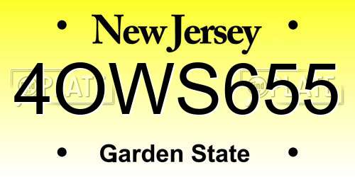 4OWS655 New Jersey License Plate