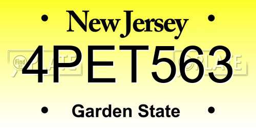 4PET563 New Jersey License Plate