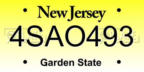 4SAO493 New Jersey License Plate