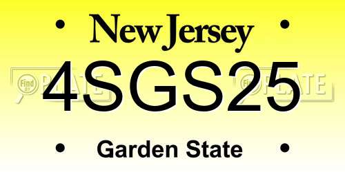 4SGS25 New Jersey License Plate