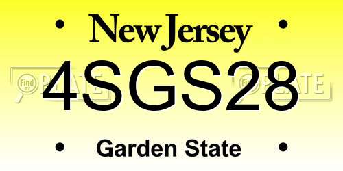 4SGS28 New Jersey License Plate