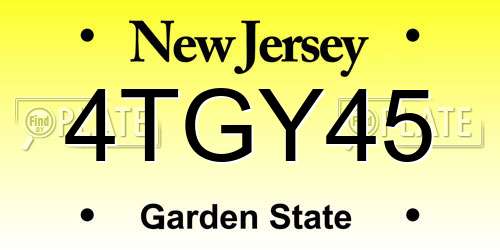 4TGY45 New Jersey License Plate