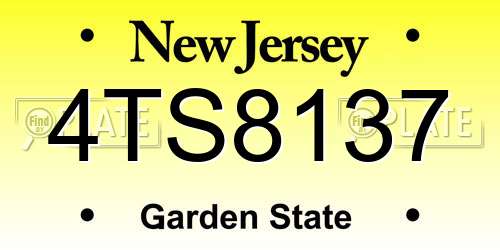 4TS8137 New Jersey License Plate