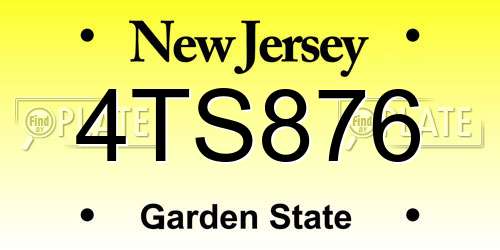 4TS876 New Jersey License Plate