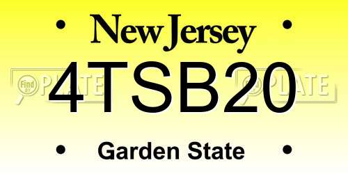 4TSB20 New Jersey License Plate