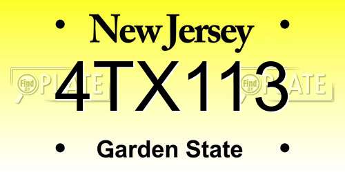 4TX113 New Jersey License Plate