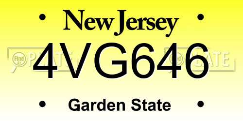 4VG646 New Jersey License Plate