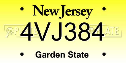 4VJ384 New Jersey License Plate