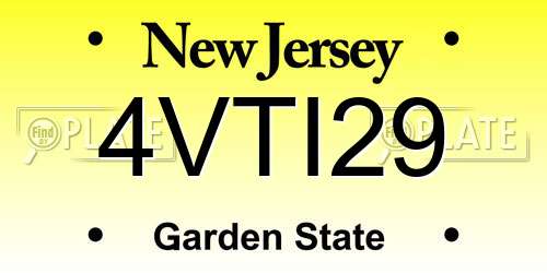 4VTI29 New Jersey License Plate
