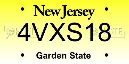4VXS18 New Jersey License Plate