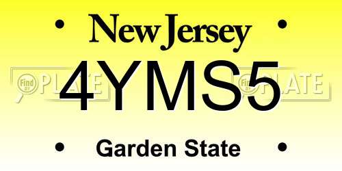 4YMS5 New Jersey License Plate
