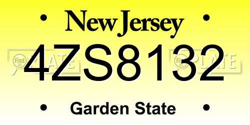 4ZS8132 New Jersey License Plate