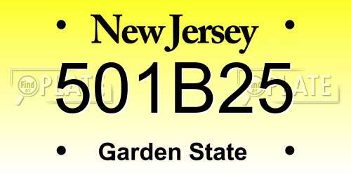 501B25 New Jersey License Plate