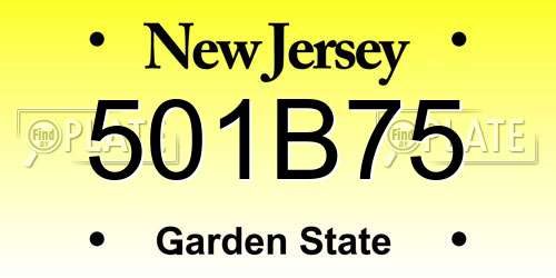 501B75 New Jersey License Plate