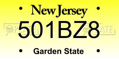 501BZ8 New Jersey License Plate