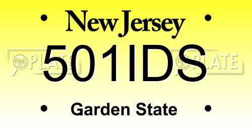 501IDS New Jersey License Plate