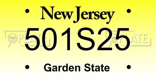 501S25 New Jersey License Plate