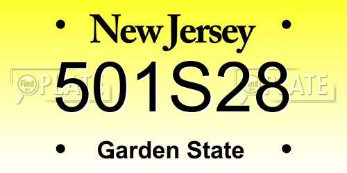 501S28 New Jersey License Plate