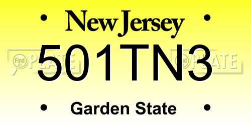 501TN3 New Jersey License Plate